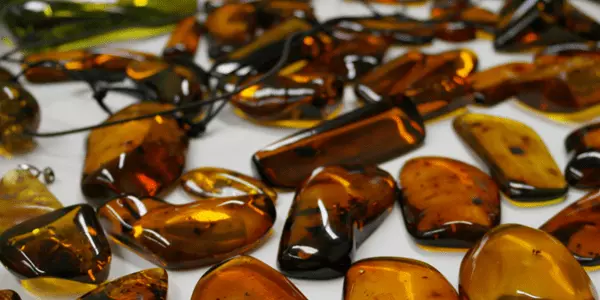 A collection of rare amber at the Singapore Jewellery School, JDMIS